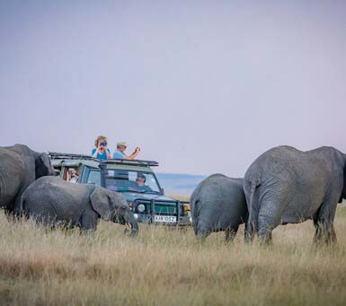 Safari Drive during a Luxury Safari Kenya
